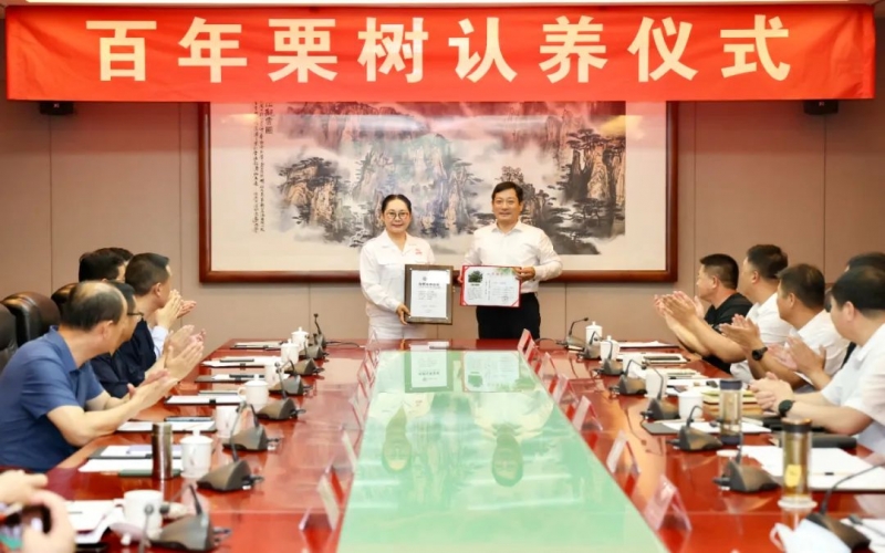 遵化市委书记杨绍华向918博天堂集团董事会主席张荣华宣告古树认养荣誉证书