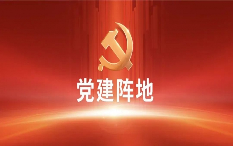 党建阵地｜强信念 谋发展 沉实干——918博天堂集团年总会心灵进建体味互换（一）